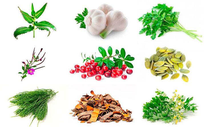 народныя сродкі для лячэння прастатыту